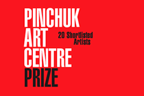 Роботи з виставки 20-ти номінантів Премії PinchukArtCentre 2011