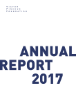 Річний звіт 2017